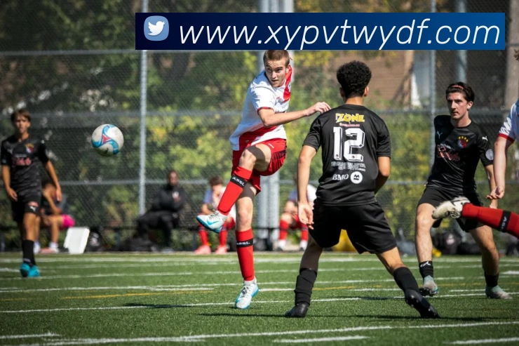 巅峰国际发展历程